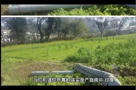 了解完华晨宝马与进口宝马的区别，你再也不用担心没面儿了！