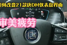 审美疲劳, 如何改变21款唐DM仪表盘界面?