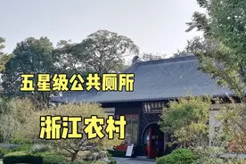 浙江农村有座公共厕所，五星级标准，内饰豪华视频封面
