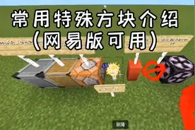 我的世界常用特殊方块介绍(网易版可用) #我的世界 #指令 #教学