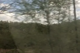 辽宁抚顺三块石山上空气特此好，山上野菜特别多，真的很值得来！视频封面