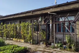 桃山镇内大平房，150平米占地五亩多，有鱼池有大仓库，十二万五