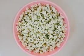 生鲜槐花保存保鲜方法，焯水冰箱冷冻冷藏保存，还能焯水晒干保存视频封面