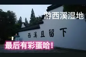 打卡西溪湿地，风景在路上！就是人有点多…视频封面