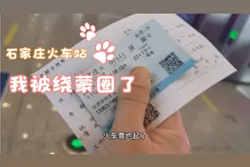 王胖子出差济南 在石家庄火车站办理临时身份证 乌龙了一圈，搞笑视频封面