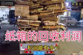 满足废品小白的好奇心，这期分享纸箱的基本分类和回收利润视频封面