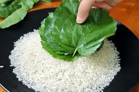 没想到一碗大米一把桑叶，简单做一做，正适合春夏季节解腻刮油