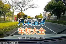 国产车汽车品牌标志大全，看看有没有被你误以为是国外品牌的车标