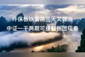 环保板块震荡三天又爆发  中证一干两期可缓解抱团视频封面