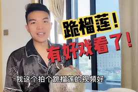 花115买个大榴莲，掰开竟是生的，老肖有妙招催熟，不熟就跪榴莲