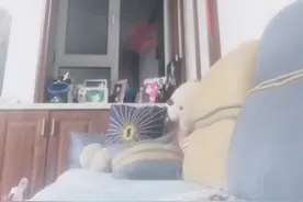 你干嘛呀？这个傻逼p视频封面