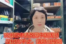 巩俐放弃新加坡国籍，已申请改回中国国籍，为何明星纷纷改回国籍视频封面