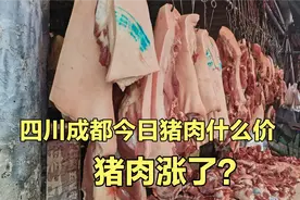 四川成都猪肉价格太吓人，看今天卖多少钱一斤？兰妹：大吃一惊视频封面