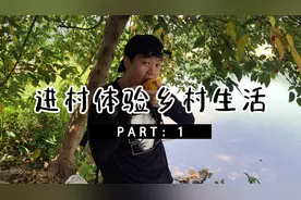 百色福禄村，真羡慕村里的生活有山有水，安逸的悠哉悠哉视频封面