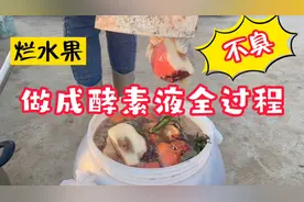 烂水果做成酵素液全过程，种瓜果蔬菜好肥料，方法简单粗暴还不臭