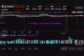 Au9999黄金．1月20日至年2月7日价格走势（实物黄金、并非股票）