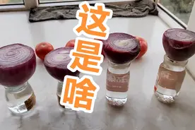 屋里太热洋葱都坏了也舍不得扔，这样让它物尽其用！搞起来吧视频封面