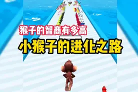 小猴子的进化之路，来看猴子的智商有多高！