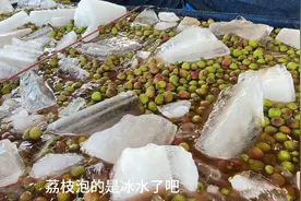 荔枝为什么要泡水？有人说是药水，你知道荔枝泡水的作用吗？