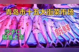 青岛沙子口鲅鱼在十五大街，18一斤，收拾内脏还给切断，太贴心了视频封面