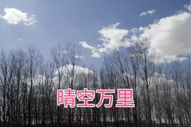 53岁，能找什么工作