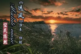 极品纯音乐《远风》知我意，微凉又深情！似微风入梦，空灵飘逸！视频封面