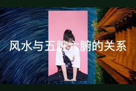 风水与五脏六腑的关系视频封面