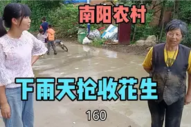 河南农村雨天抢收花生，弟媳帮大伯哥薅花生，一天三百手不软