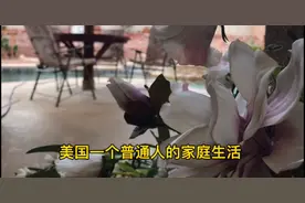 走进美国普通白人的家庭，生活可以衣食无忧，想要旅游还需努力视频封面