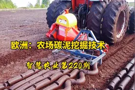 智慧农业220期：欧洲农场碳泥挖掘技术！晒干碳泥用于农场育种视频封面