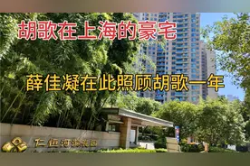 国民男神胡歌在上海的高档豪宅小区，总价8000万，安保非常严格视频封面
