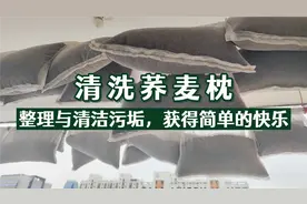 筱花：我计划手工清洗荞麦枕，中途改变计划用了洗衣机，结果……