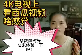 4k电视上看西瓜视频（华数鲜时光），有啥感觉，@王蒙多 一起体验