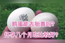 鹅蛋能去胎毒吗？怀孕几个月吃比较好呢？
