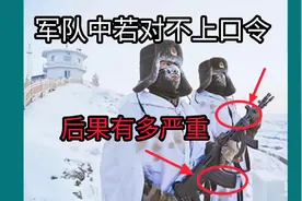 军队中若对不上口令后果有多严重
