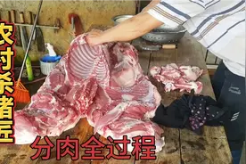 农村养猪场杀猪，100元请的杀猪匠刀法精湛，一看就是老师傅视频封面
