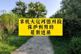 大运河德州段2025年实现通航，德州人民今后可全程旅游京杭大运河视频封面