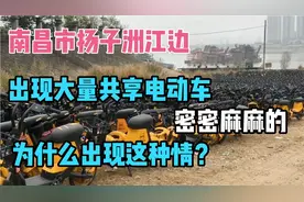 南昌市扬子洲赣江边出现大量共享电动车，这是啥情况？