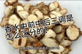 香水中，前调，中调，后调是怎么区分的，这些专业名词代表着什么