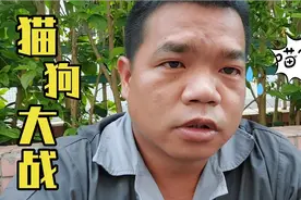 澳门六合彩昨晚开猴子，地下黑庄开始收割，大家远离