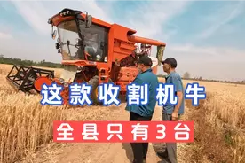 山东临沂郯城县收割麦子，雷沃谷神GM100收割机亮相，全县只有3台视频封面