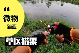 雷蛙黑鱼不咬怎么办？换微物米诺试试，一口一个“小朋友”安逸哦视频封面