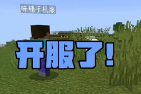 我的世界手机服务器，开服了！24小时开放！欢迎大家游玩视频封面