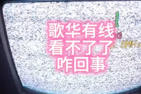 发现电视突然间一个台都没有了，中央1的新闻联播也看不了咋回事