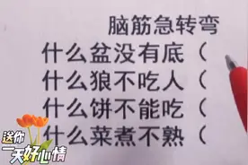 脑筋急转弯，什么盆没有底，什么狼不吃人，什么饼不能吃