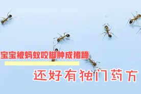 宝宝被蚂蚁咬伤脚起水泡红肿，疼痒得嗷嗷嗷叫，还好有独门药方。