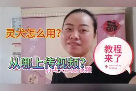 新手小白不会用灵犬  不会上传视频  详细教程送给你
