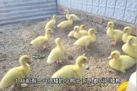 撩人小故事视频封面