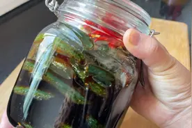 这样腌制的小黄瓜特别爽脆视频封面