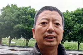 蜂群无王半月了，怎样快速复壮，老蜂农分享给大家